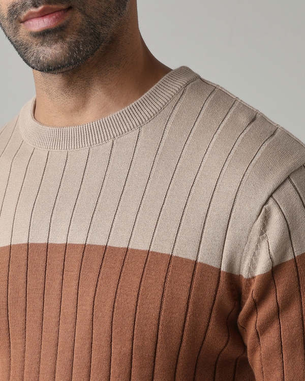 Brown Color-Blocked Slim Fit Flatknit